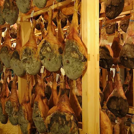 Belica Доброво