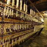 Bed & Breakfast Belica